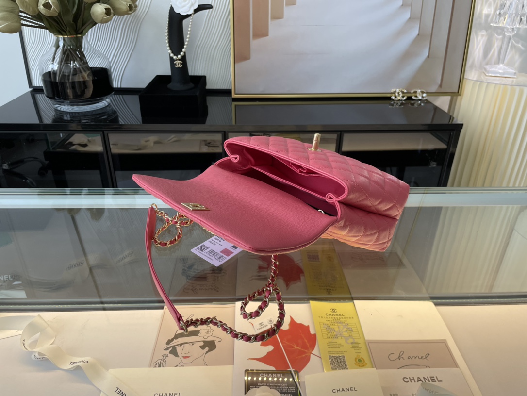 Ch@nel Coco Handlebag-23CM