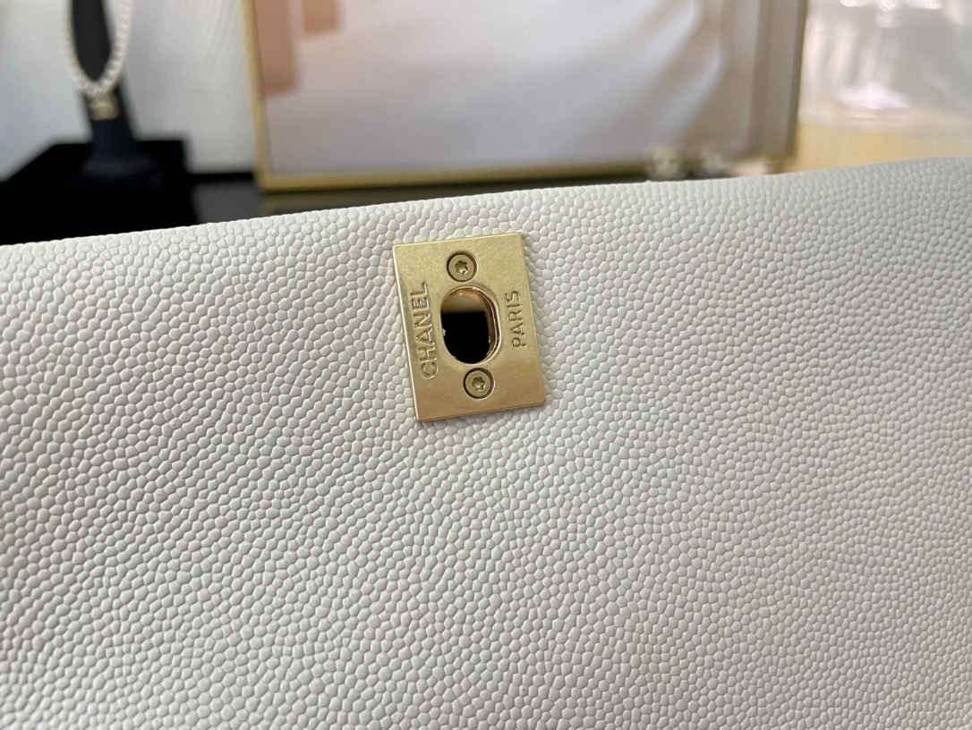 Ch@nel Coco Handlebag-23CM