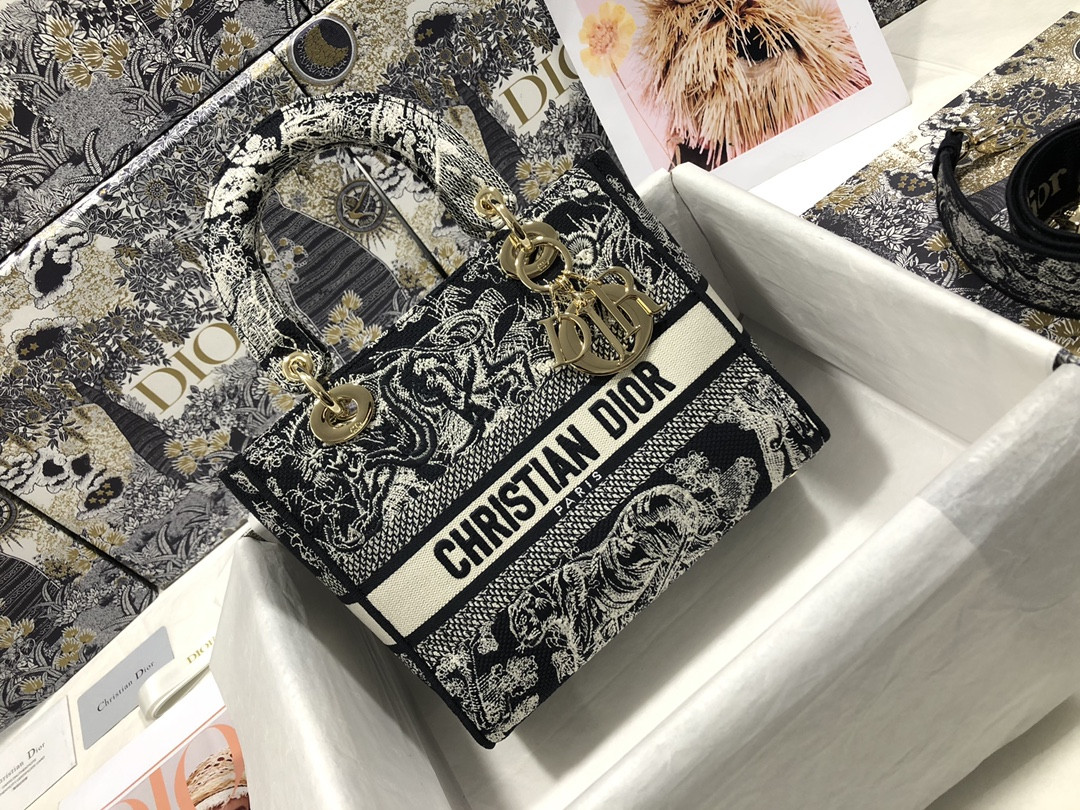 lady D*or bag-24*20*11cm