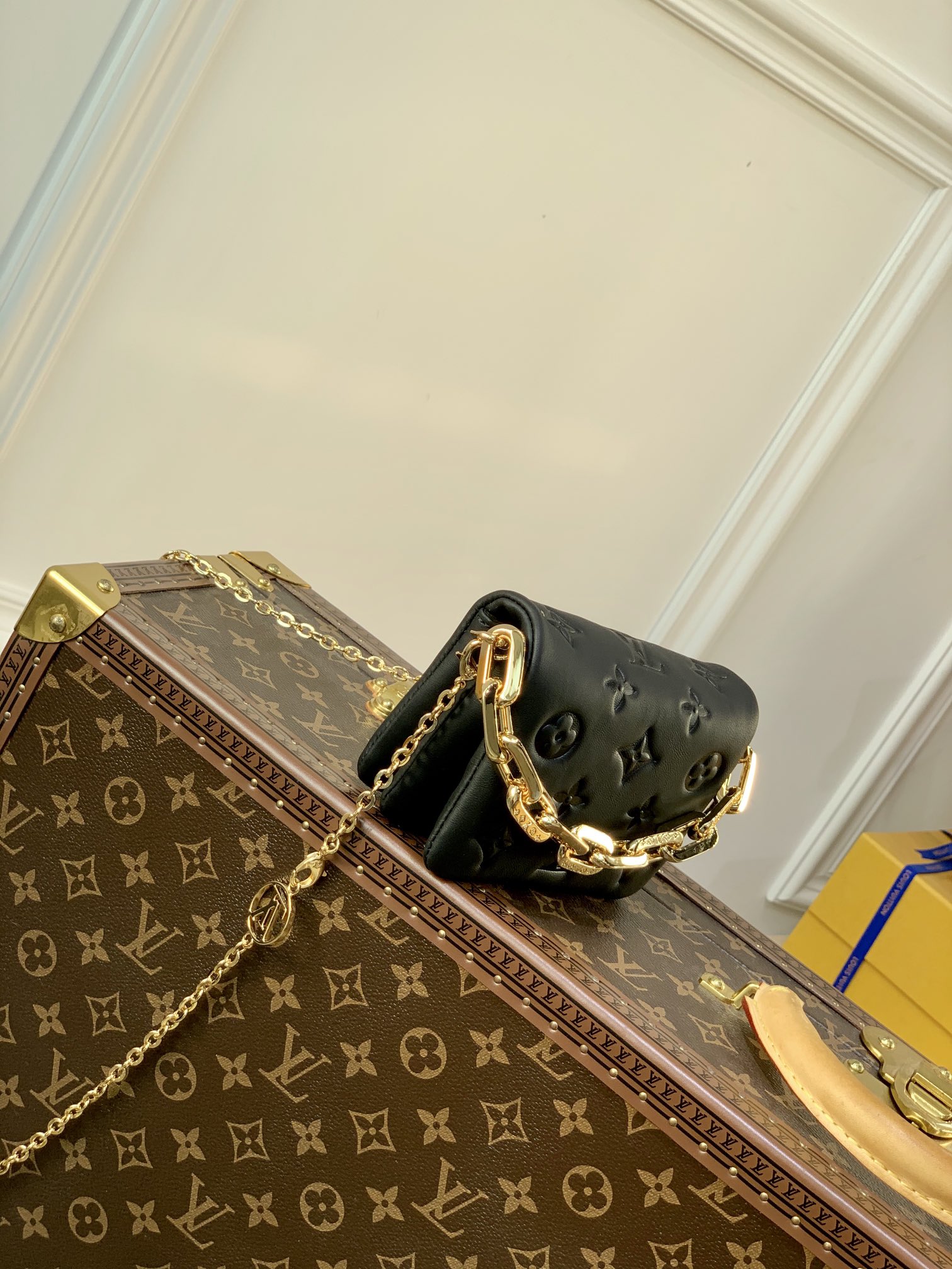 l0*is V*t0n mini coussion-13×4×10cm