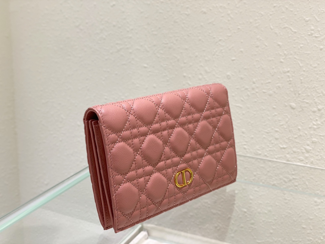 D*or caro wallet-19.5cm