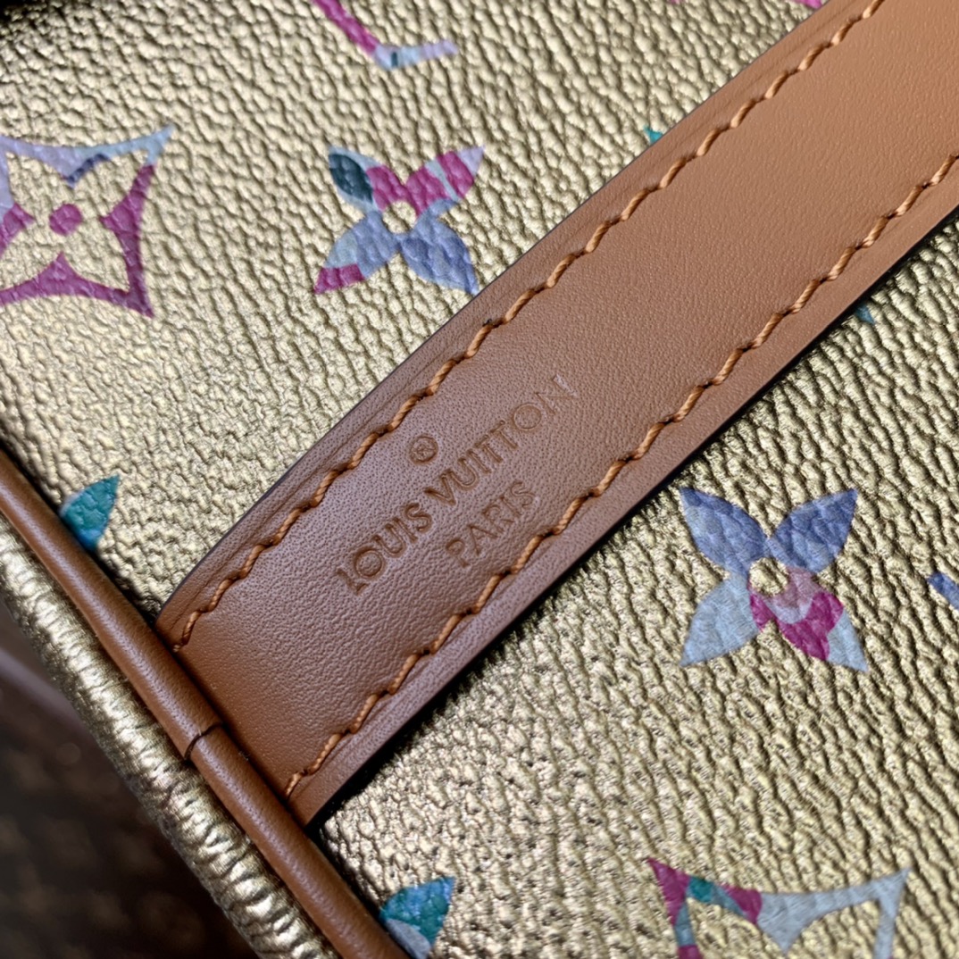 l0*is V*t0n speedy bandoulière 25-25*19*15cm