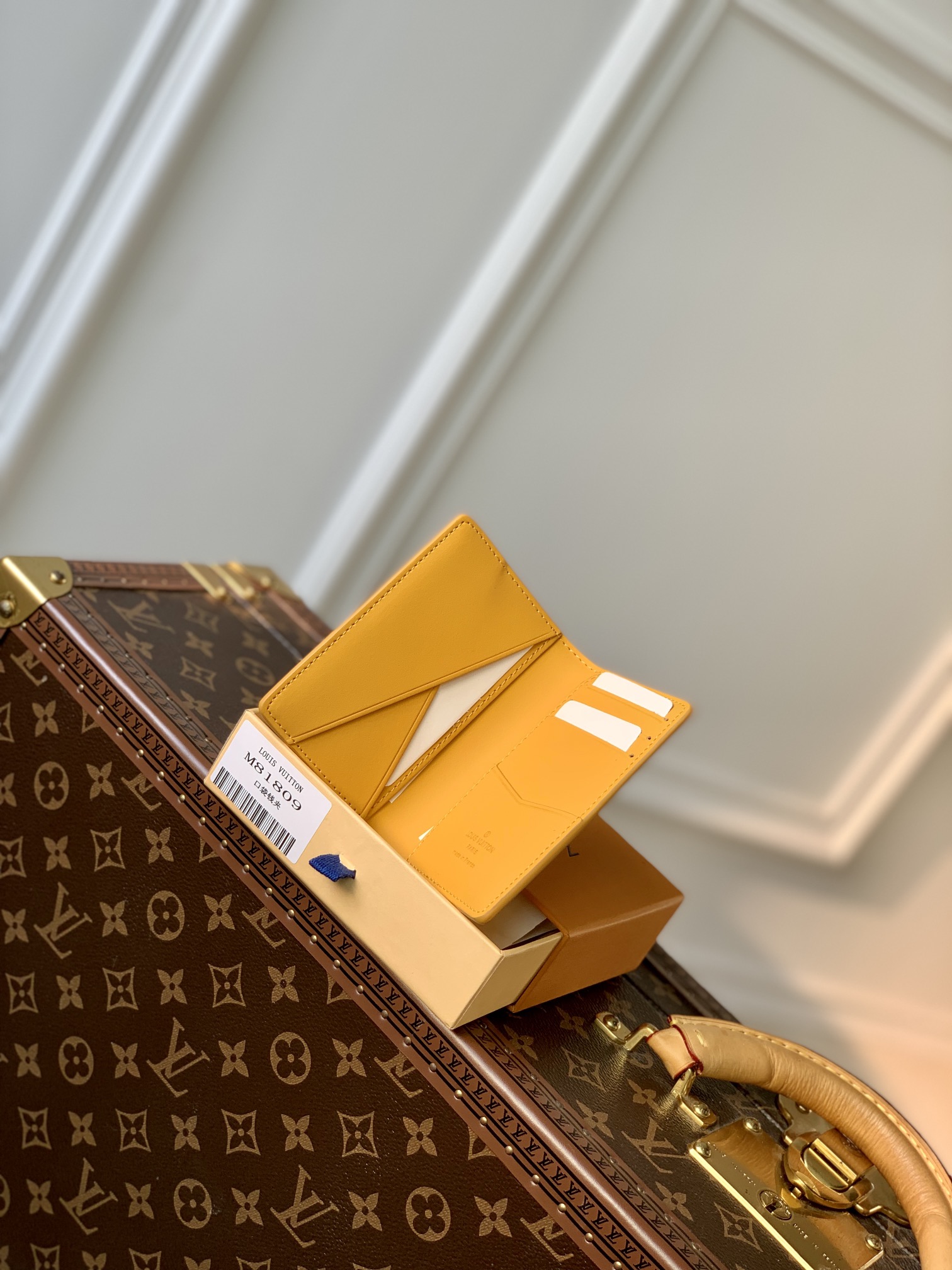 l0*is V*t0n aerogram wallet-8 x 11 x 1cm