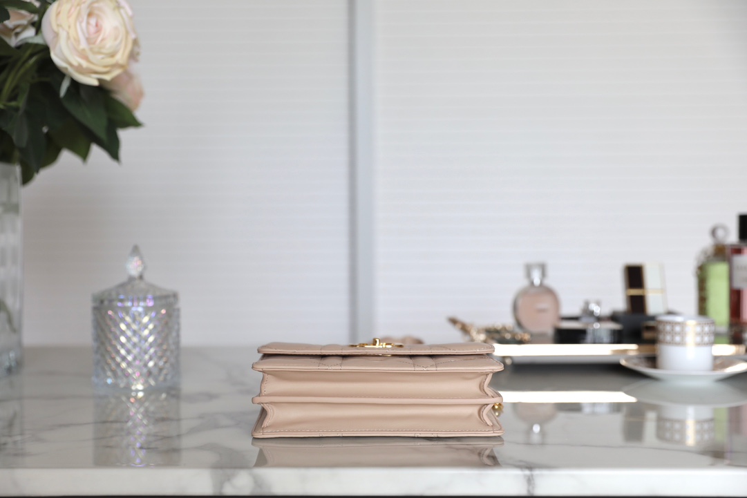 D*or caro bag- 19 x 13 x 5.5cm