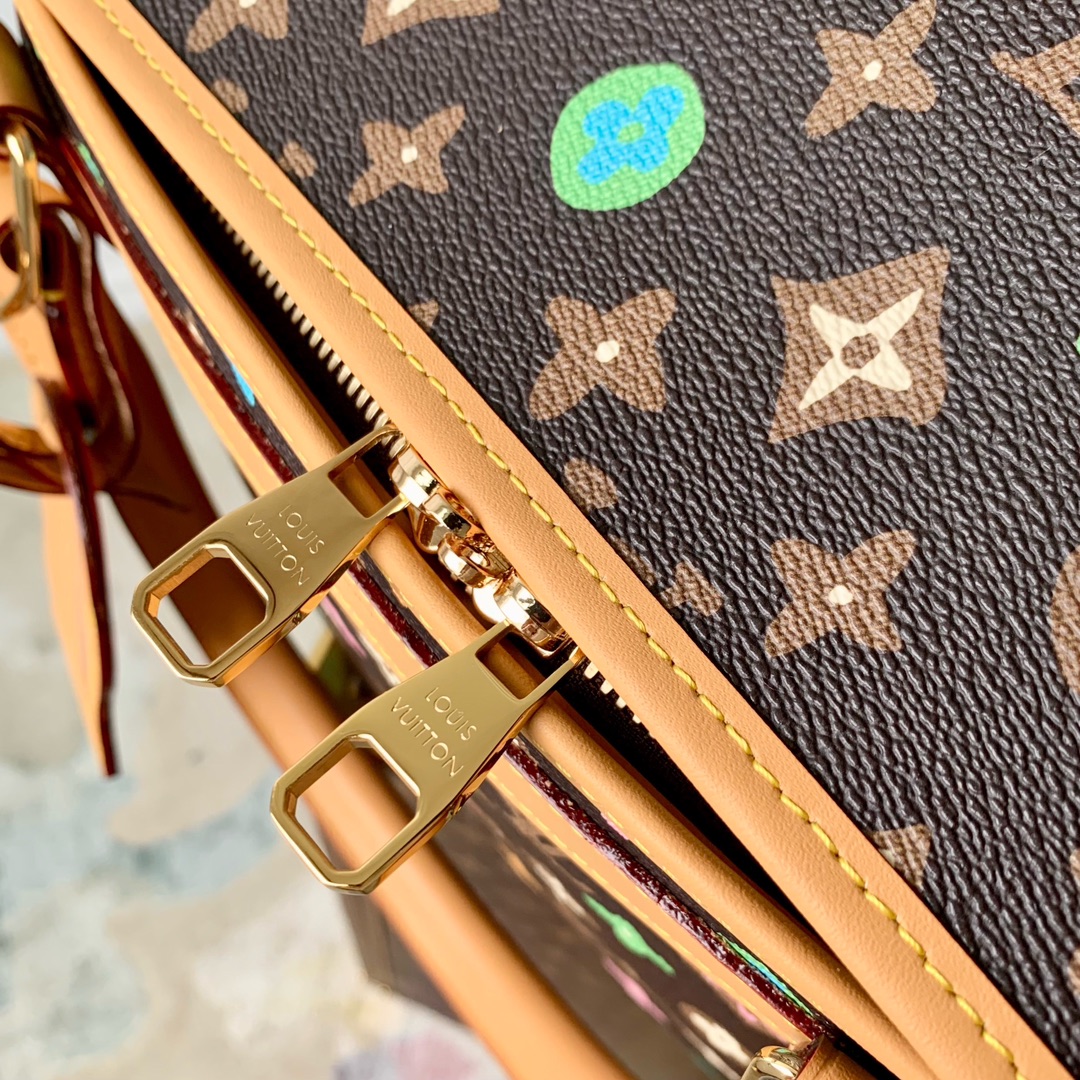 l0*is V*t0n dog carrier -44 x 32 x 23cm