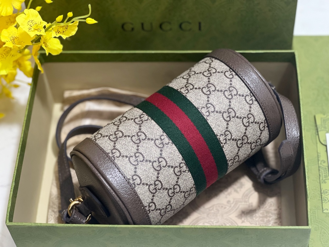 G*u*i ophidia mini shoulder bag-18.5*10*10cm